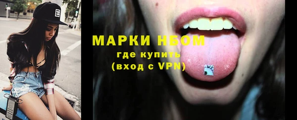 стафф Медногорск